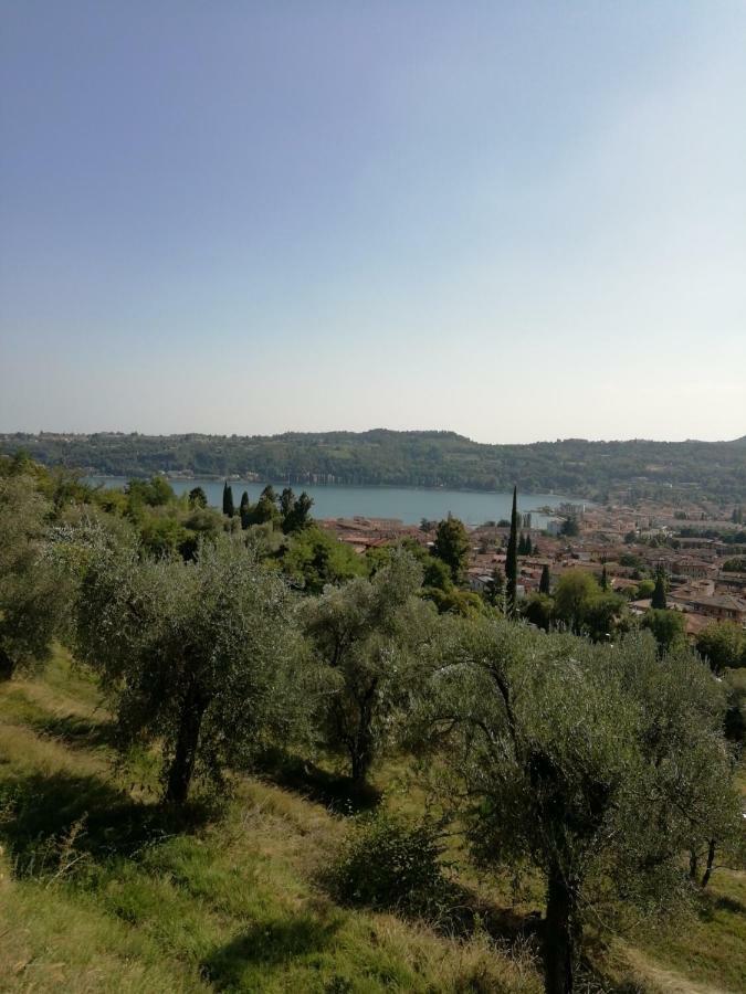 Agriturismo Podere Nigriano Saló Exterior foto
